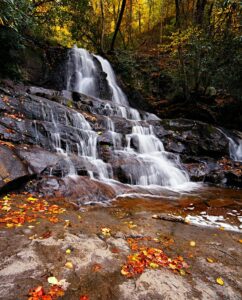 Best Spots for Capturing Fall Foliage in the Smoky Mountains