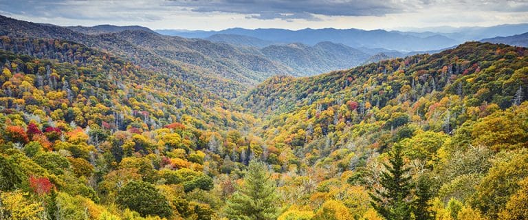 Smoky Mountains Fall Color Foliage - Pigeon Forge, TN