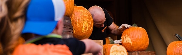 World-Class Artisans at Dollywood Harvest Festival