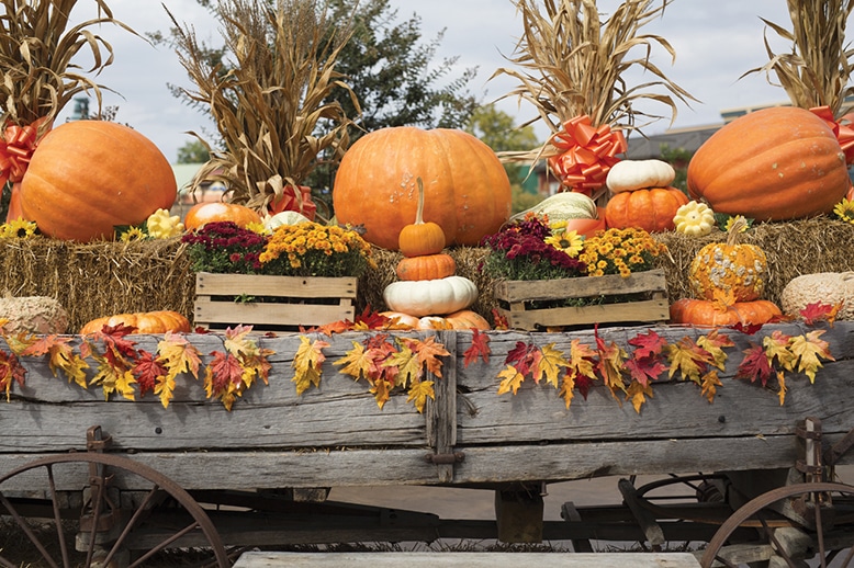 3 Reasons We Love October in Pigeon TN