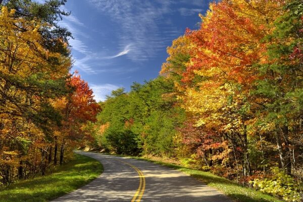 Scenic Drive to View Fall Colors in Great Smoky Mountain National Park