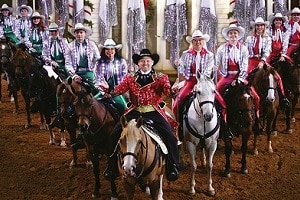 christmas pigeon forge shows stampede holiday dolly parton