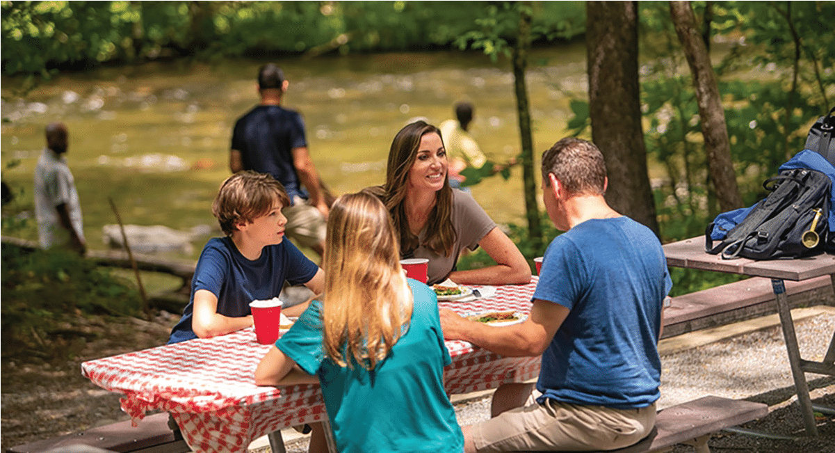 image of family picnic in pigeon forge tn