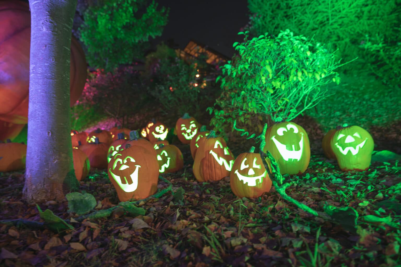 Halloween Events in Pigeon the Whole Family Will Love