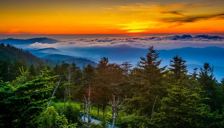 Clingmans Dome By Jon Bilous - Best Views of the Smoky Mountains