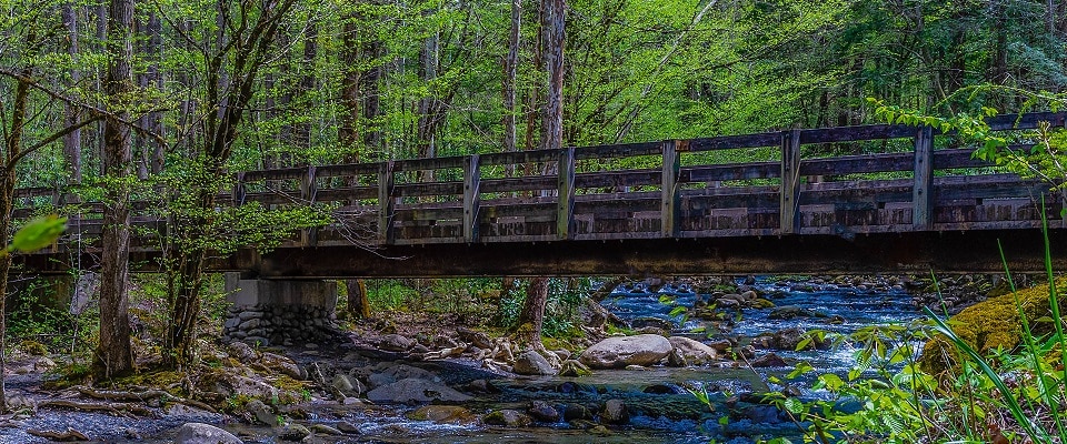 Hiking Porters Creek Trail - Smoky Mountains TN