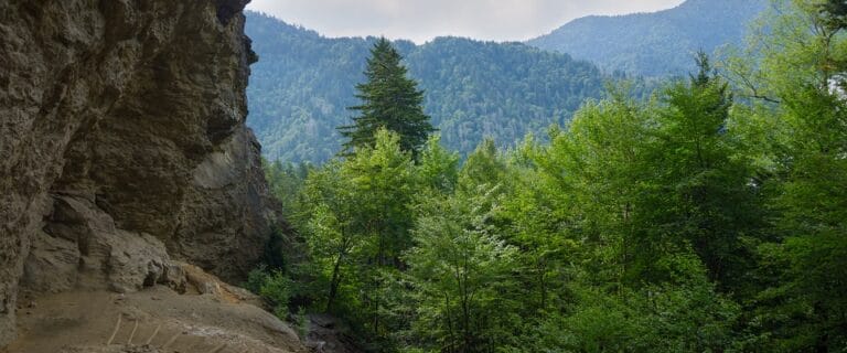 Alum Cave Trail - Smoky Mountains Hiking Trail