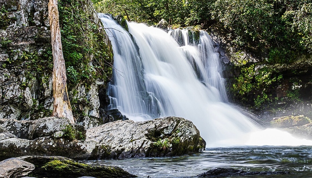 Take in one of the most picturesque waterfalls in the park at Abrams Falls