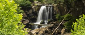 Laurel Falls | Waterfall Hike in Great Smoky Mountains National Park