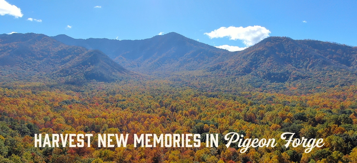 Harvest New Memories in Pigeon Forge | My Pigeon Forge