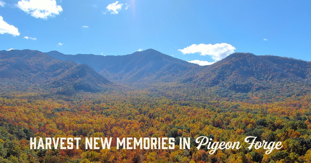 Harvest New Memories in Pigeon Forge | My Pigeon Forge