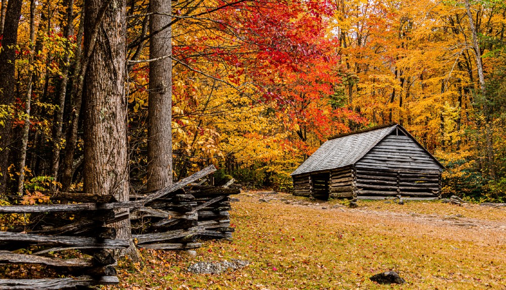 Things to Do and See Along the Roaring Fork Motor Nature Trail