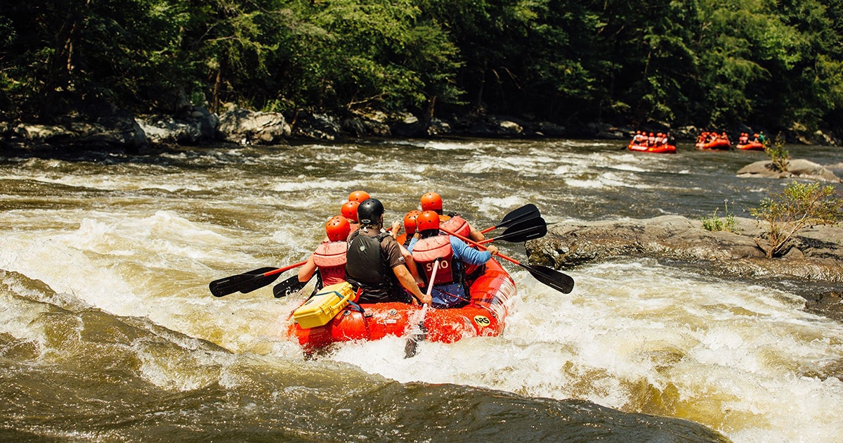 Hit the rapids on a whitewater rafting adventure