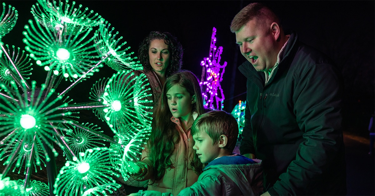 Family experiencing the Winterfest Wonders of Light Walking Trail