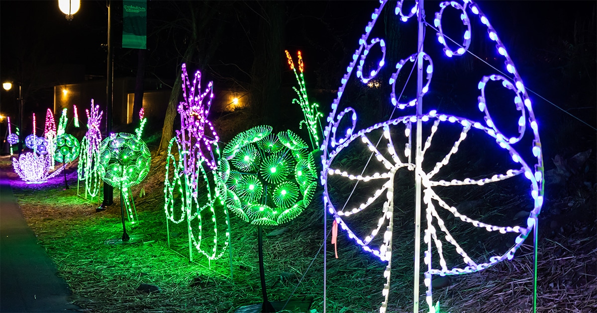 Winterfest Wonders of Light Walking Trail mushrooms and wildflowers