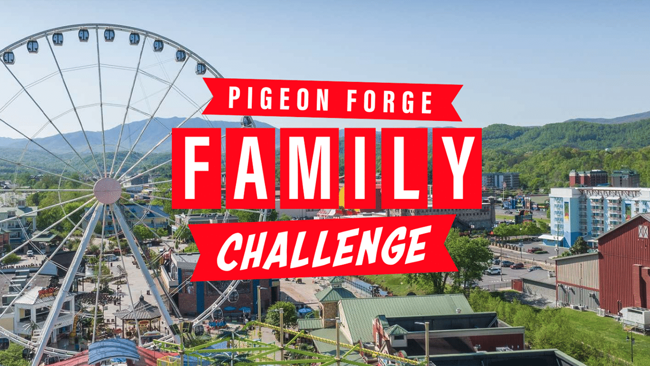 Pigeon Family Challenge Watch 5 Families Compete