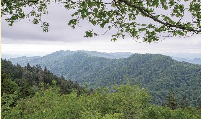 Explore the Smoky Mountains
