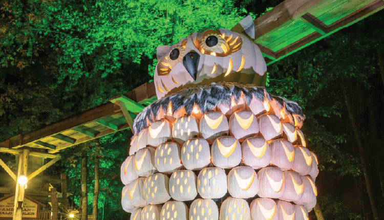 image of owl at Dollywood’s Harvest Festival in pigeon forge tn