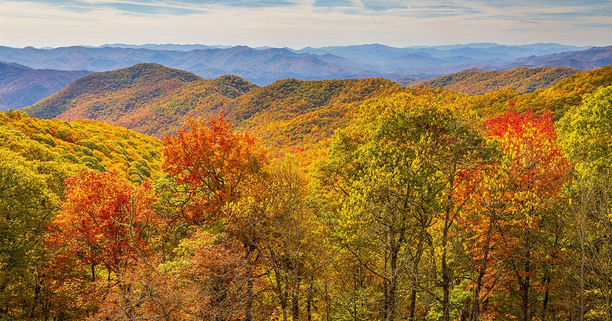 Fall in the Great Smoky Mountains