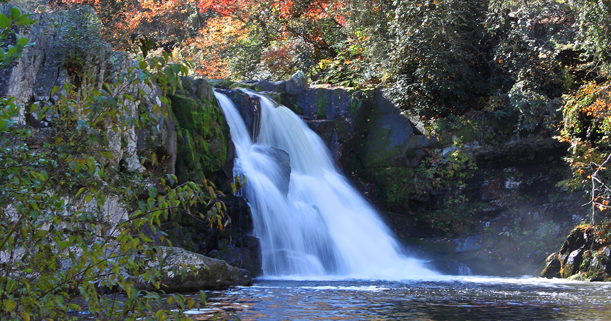 Abrams Falls waterfall hike