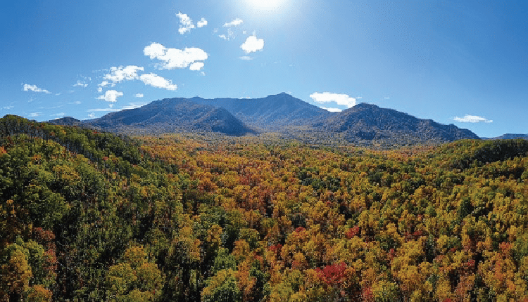 image of the great smoky mountain national park in pigeon forge tn