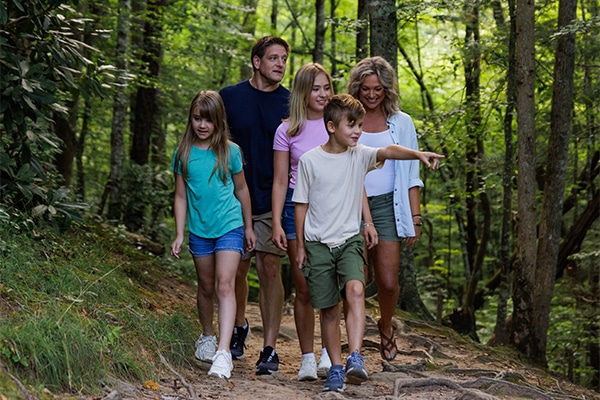 Hiking Trails - Smoky Mountains