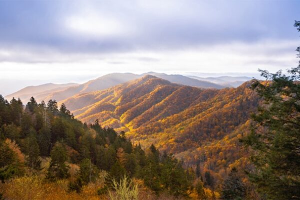 Smoky Mountains in the Fall