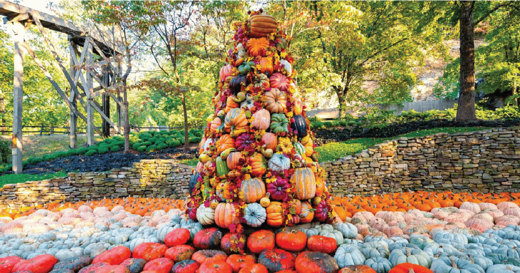 image of pumpkins at Dollywood