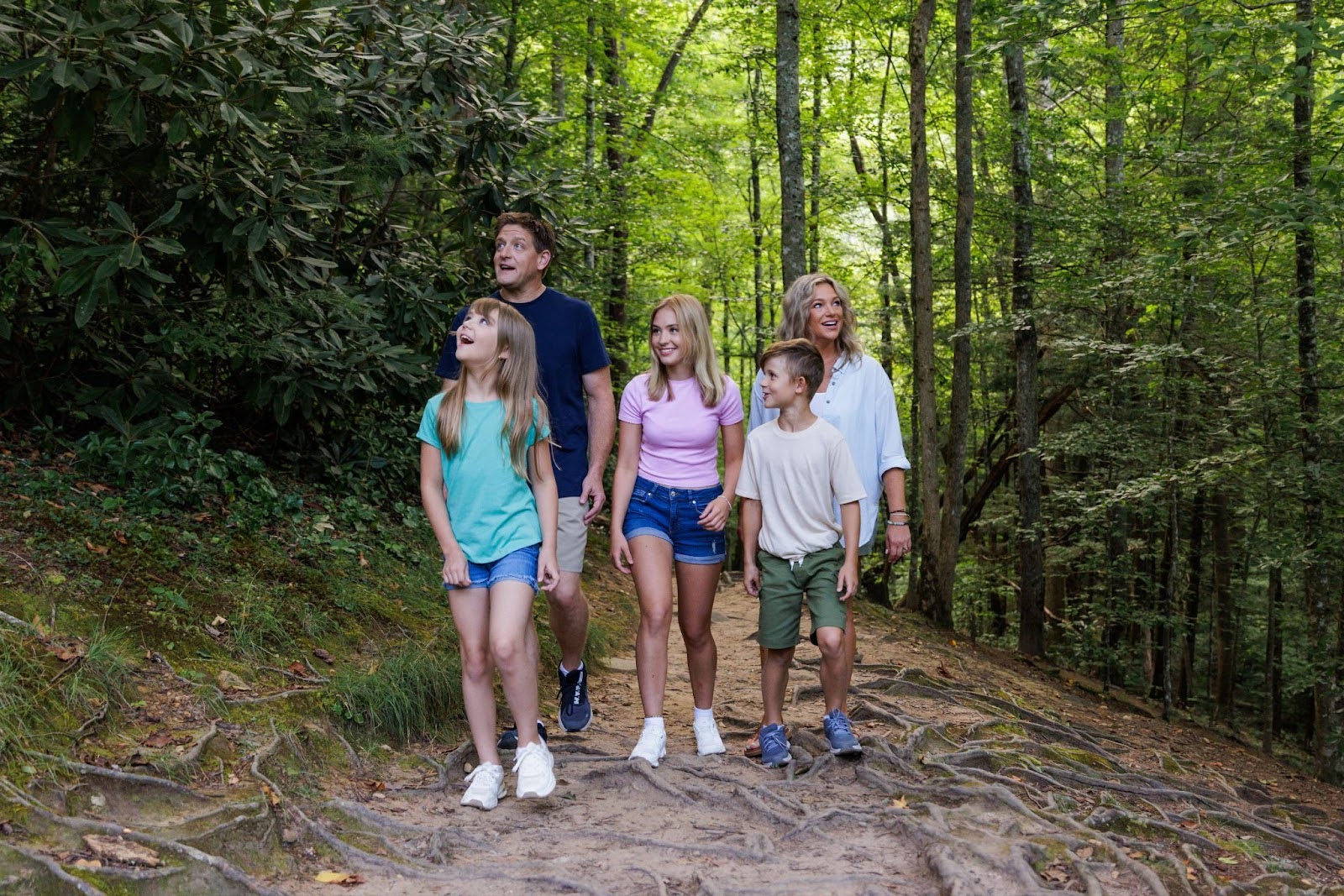 image of family on a smoky mountain trail